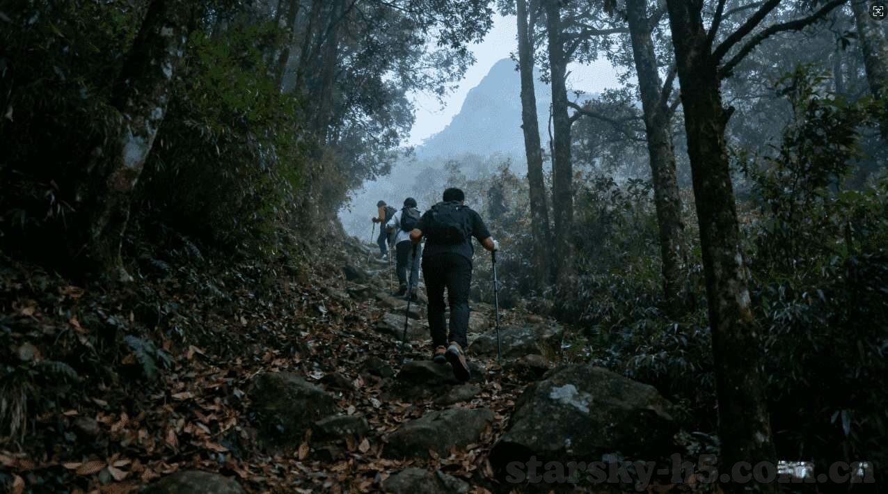 中国参加世界杯l-中国足球之梦，冲击世界杯的征途